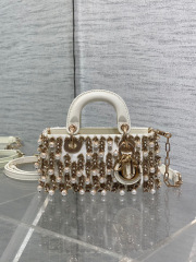 Christian Dior lady limited edition  Size：22*11*6cm