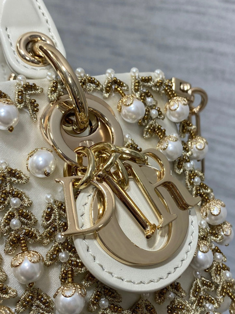Christian Dior lady limited edition  Size：22*11*6cm