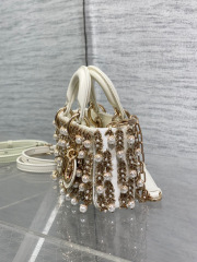 Christian Dior lady limited edition  Size：22*11*6cm