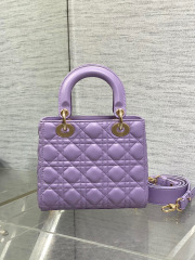 Christian Dior Lady Sige Größe: 20 * 16,5 * 8 cm