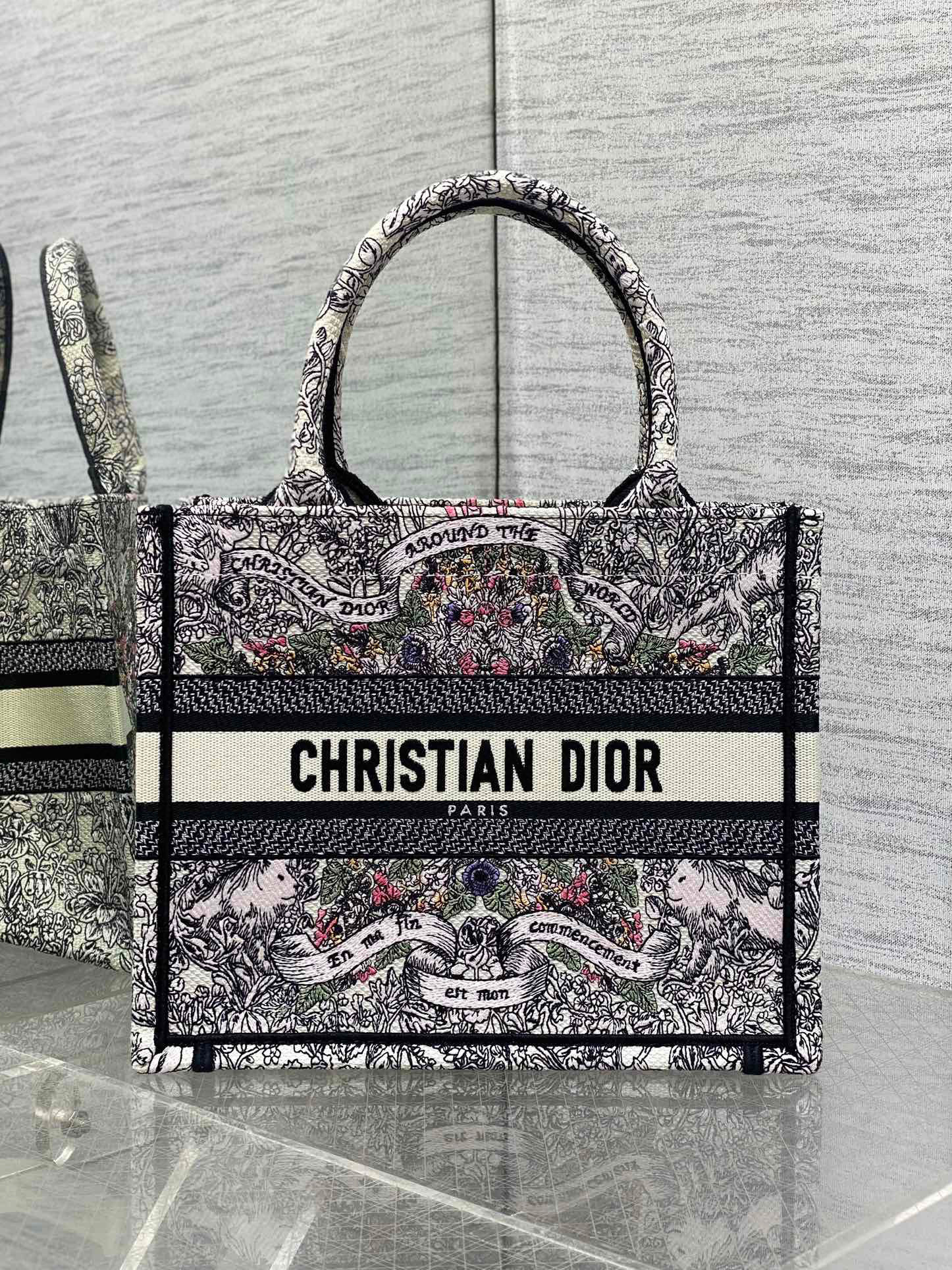 Christian Dior Around the world Size：26*8*22cm