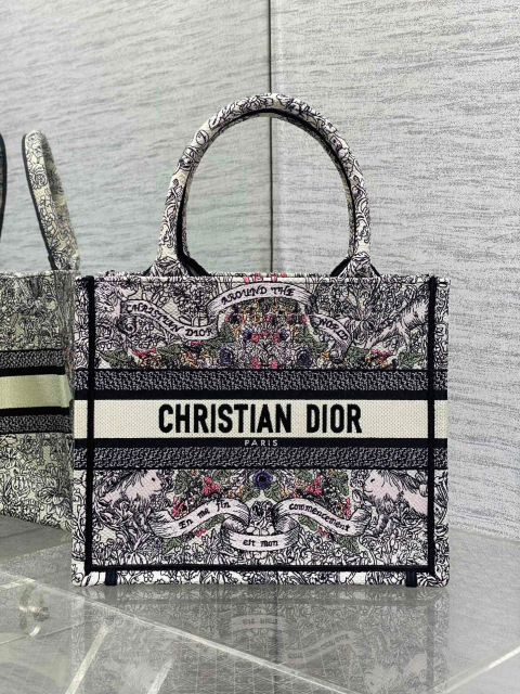 Christian Dior Around the world Size：26*8*22cm