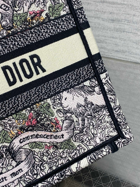 Christian Dior Around the world Size：26*8*22cm