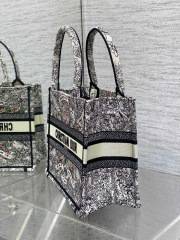 Christian Dior Around the world Size：26*8*22cm