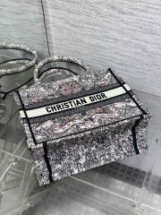 Christian Dior Around the world Size：26*8*22cm