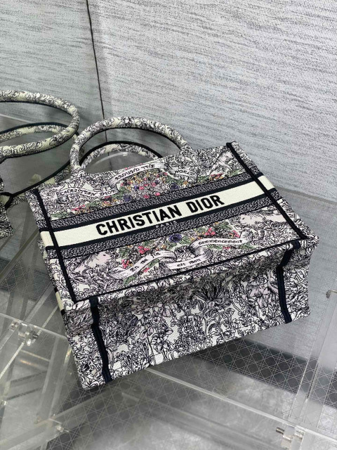 Christian Dior Around the world Size：26*8*22cm