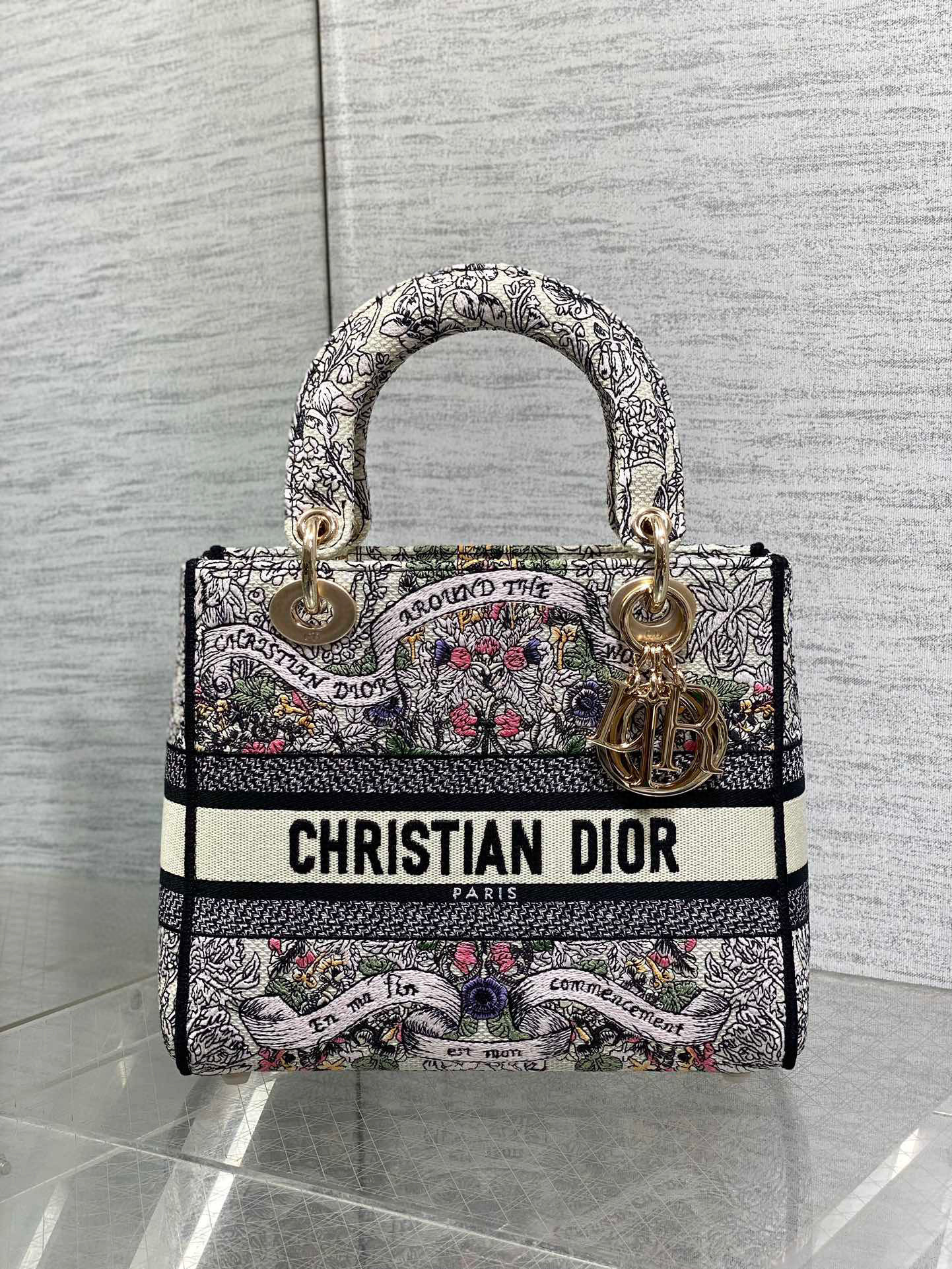 Christian Dior Lady Wuge Dimensioni: 24*11*20cm
