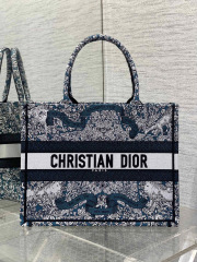 Christian Dior Around the world Size：36*18*28cm