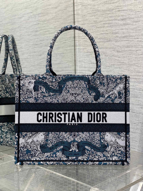 Christian Dior Around the world Size：36*18*28cm