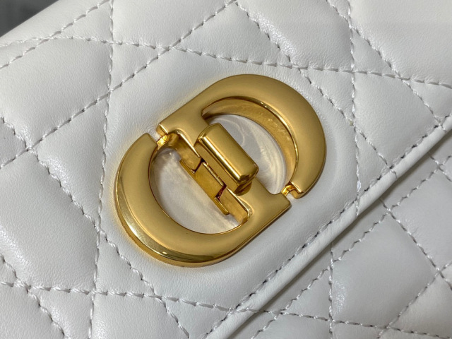 Beg Miss Christian Dior Caro Saiz: 19*11*14.5cm