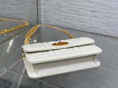 Beg Miss Christian Dior Caro Saiz: 19*11*14.5cm