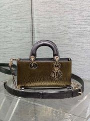Christian Dior lady limited edition Size：22*11*6cm