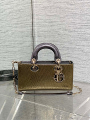 Christian Dior lady limited edition Size：22*11*6cm