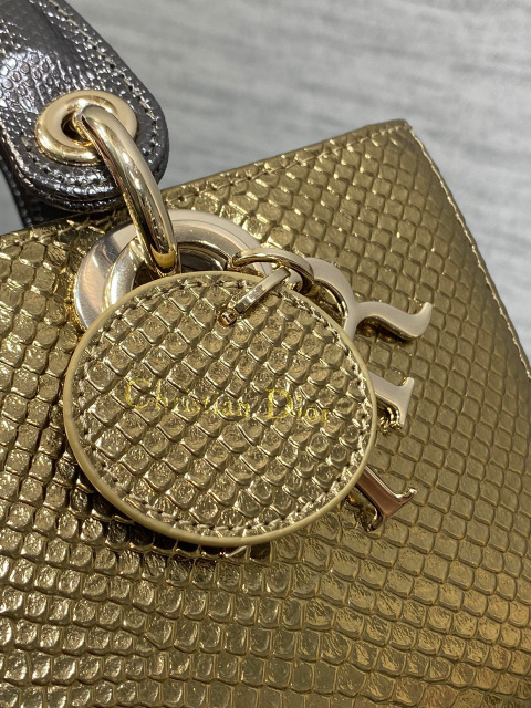 Christian Dior lady limited edition Size：22*11*6cm