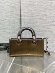 Christian Dior lady limited edition Size：22*11*6cm