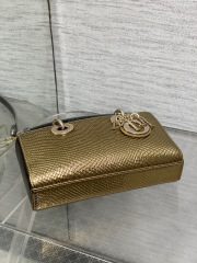 Christian Dior lady limited edition Size：22*11*6cm