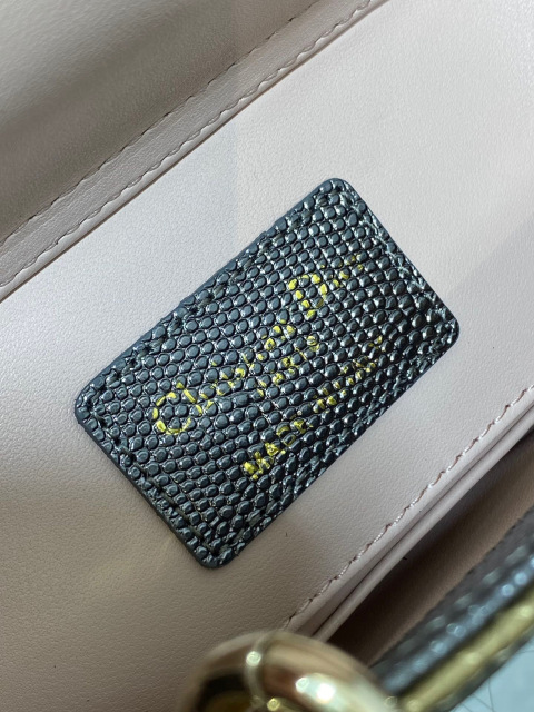 Christian Dior lady limited edition Size：22*11*6cm