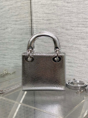 Christian Dior lady Sange Saiz：17*15*7cm
