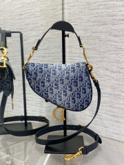 Borsa a sella Christian Dior Dimensioni: 17*5*15cm
