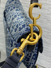 Borsa a sella Christian Dior Dimensioni: 17*5*15cm
