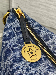 Christian Dior Hobo star bag Size：28.5*10*14.5cm
