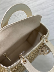 Borsa personalizzata Christian Dior Lady Dimensioni: 24*11*20cm