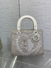 Christian Dior Lady定制包包尺寸：24*11*20cm