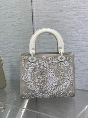 Christian Dior Lady定制包包尺寸：24*11*20cm