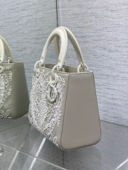 Christian Dior Lady定制包包尺寸：24*11*20cm