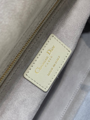 Christian Dior Lady定制包包尺寸：24*11*20cm