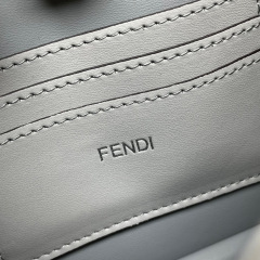 Borsa a mano Fendi Dimensioni: 23*14*6cm