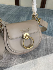 Celine 单肩包 尺寸：20*7*15cm