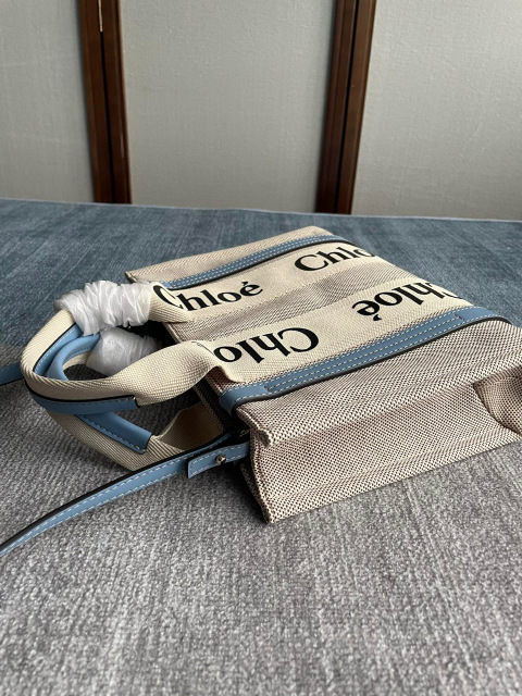 Borsa della spesa Celine Dimensioni: 26,5*20*8cm