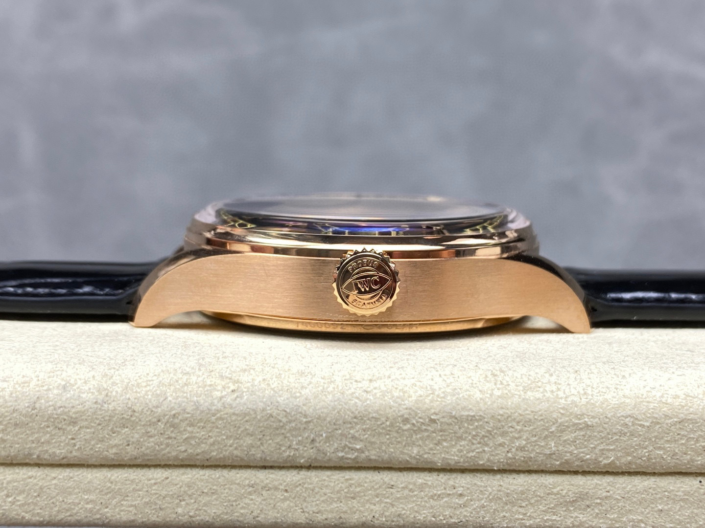 IWC Focus on big factory goods