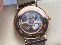 IWC Focus on big factory goods