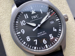 IWC Focus on big factory goods