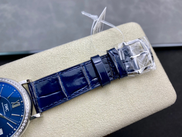 IWC si concentra sui beni di grandi dimensioni
