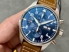 IWC si concentra sui beni di grandi dimensioni