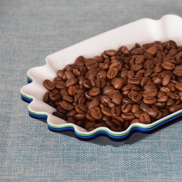 BP300 Ecocoffee Coffee Bean Sample Display Tray Reusable Plastic Plate for Weighing Filling Scooping Coffee Beans Cupping Tray