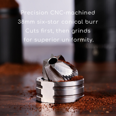 havmore Electric Coffee Bean Grinder 38mm 5 pins Cutter head Portable for Household