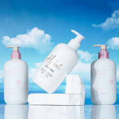 Customized 500ml PE Lotion Bottle, Personal Care Packaging, Bath Gel Packaging, China Cosmetics Bottle Packaging Factory