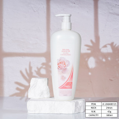 Customized 500ml PE Lotion Bottle For Personal Care, Shampoo Packaging, Bath Gel Packaging,  China Cosmetics Bottle Packaging Factory