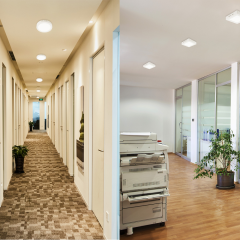 DL266 Ultra Slim Surface Mounted LED Downlight,LED Downlights for Supermarkets & Retail Stores | Voxreal Fixture
,Supermarket, Retail Chain Gondola Shelves and LED Lighting Manufacturer. 