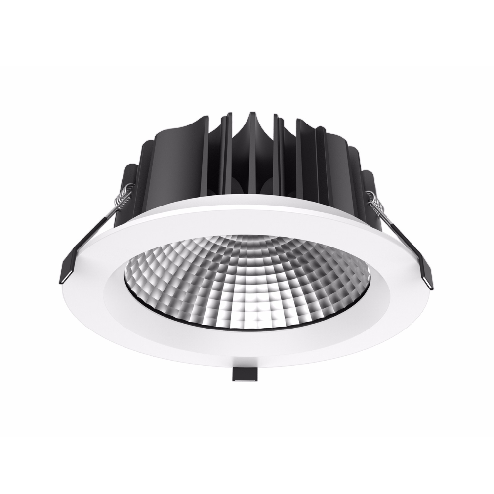 DL22 Citizen COB Downlight,LED Downlights for Supermarkets & Retail Stores | Voxreal Fixture,Supermarket, Retail Chain Gondola Shelves and LED Lighting Manufacturer. 