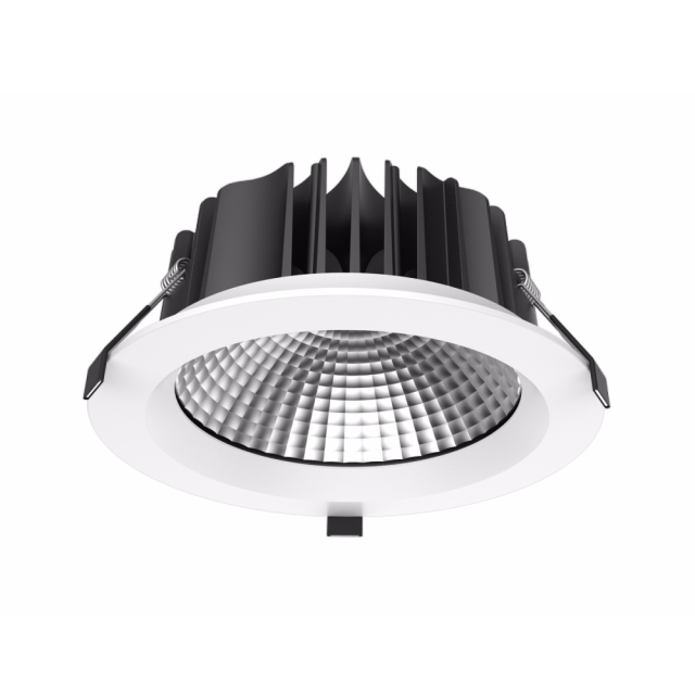 DL22 Citizen COB Downlight,LED Downlights for Supermarkets & Retail Stores | Voxreal Fixture,Supermarket, Retail Chain Gondola Shelves and LED Lighting Manufacturer. 