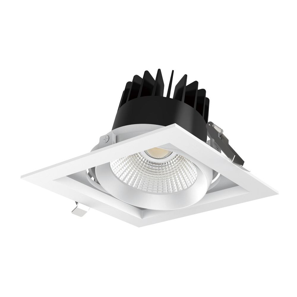 CL113 gimble Recessed Luminaire,LED Downlights for Supermarkets & Retail Stores | Voxreal Fixture,Supermarket, Retail Chain Gondola Shelves and LED Lighting Manufacturer. 