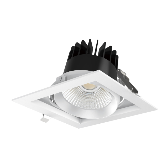 CL113 gimble Recessed Luminaire,LED Downlights for Supermarkets & Retail Stores | Voxreal Fixture,Supermarket, Retail Chain Gondola Shelves and LED Lighting Manufacturer. 