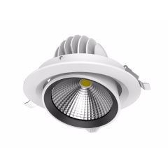 DL77 Adjustable COB Downlight,LED Downlights for Supermarkets & Retail Stores | Voxreal Fixture
,Supermarket, Retail Chain Gondola Shelves and LED Lighting Manufacturer. 
