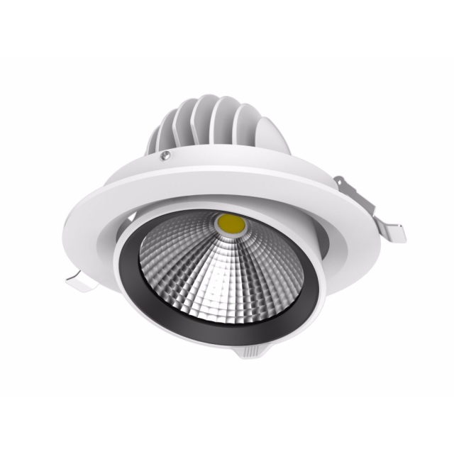 DL77 Adjustable COB Downlight,LED Downlights for Supermarkets & Retail Stores | Voxreal Fixture
,Supermarket, Retail Chain Gondola Shelves and LED Lighting Manufacturer. 