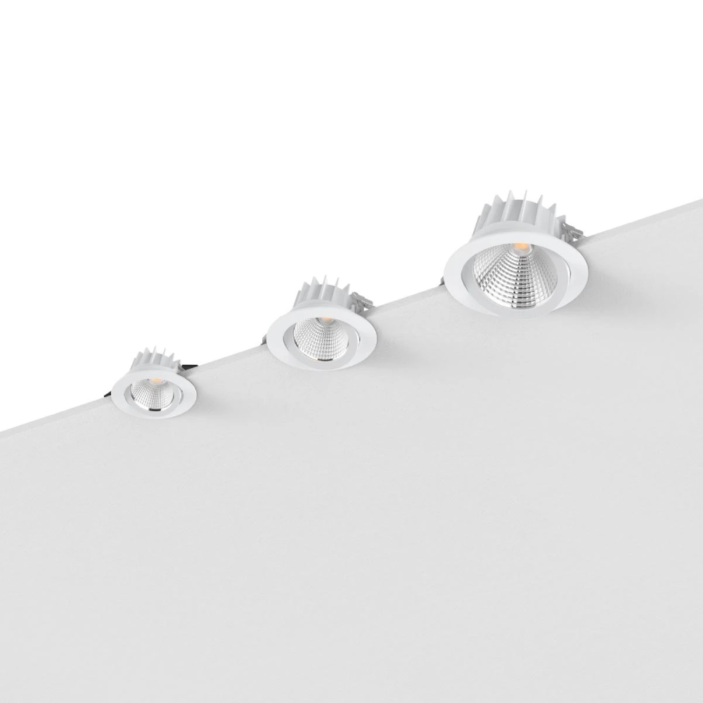 CL156(3-CCT) LED Downlight,LED Downlights for Supermarkets & Retail Stores | Voxreal Fixture
,Supermarket, Retail Chain Gondola Shelves and LED Lighting Manufacturer. 